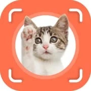Cat Identifier - Cat Scanner - Intelligent APK Download