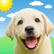 Weather Puppy - App & Widget - Intelligent APK Download