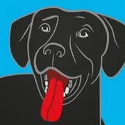 BringFido Pet Friendly Hotels - Intelligent APK Download