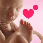Preggers: Pregnancy & Baby App - Intelligent APK Download