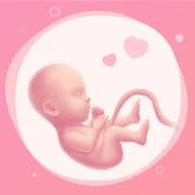 Pregnancy Tracker Week By Week - Intelligent APK Download