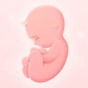 My Pregnancy - Baby Tracker - Intelligent APK Download