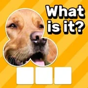 Zoom Quiz: Close Up Pics Game - Intelligent APK Download