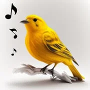 Bird Calls, Sounds & Ringtones - Intelligent APK Download