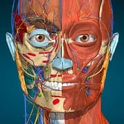 Anatomy Learning - 3D Anatomy - Intelligent APK Download