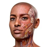Complete Anatomy 2024 - Intelligent APK Download