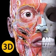 Anatomy 3D Atlas - Intelligent APK Download