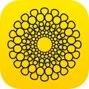 Expo 2020 Dubai - Intelligent APK Download