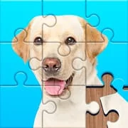 Jigsaw Puzzles Explorer - Intelligent APK Download