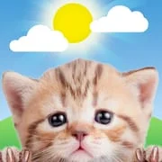 Weather Kitty - App & Widget - Intelligent APK Download