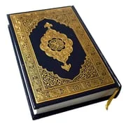 HOLY QURAN (القرآن الكريم) - Intelligent APK Download