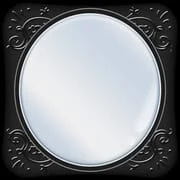 Mirror - Zoom & Exposure - - Intelligent APK Download