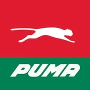 Puma FastPay - Intelligent APK Download
