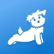 Yoga | Down Dog - Intelligent APK Download