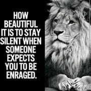 Motivational Quotes - Daily - Intelligent APK Download