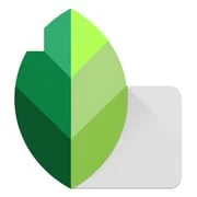 Snapseed - Intelligent APK Download