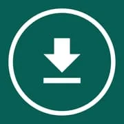 Story & Status Saver App - Intelligent APK Download