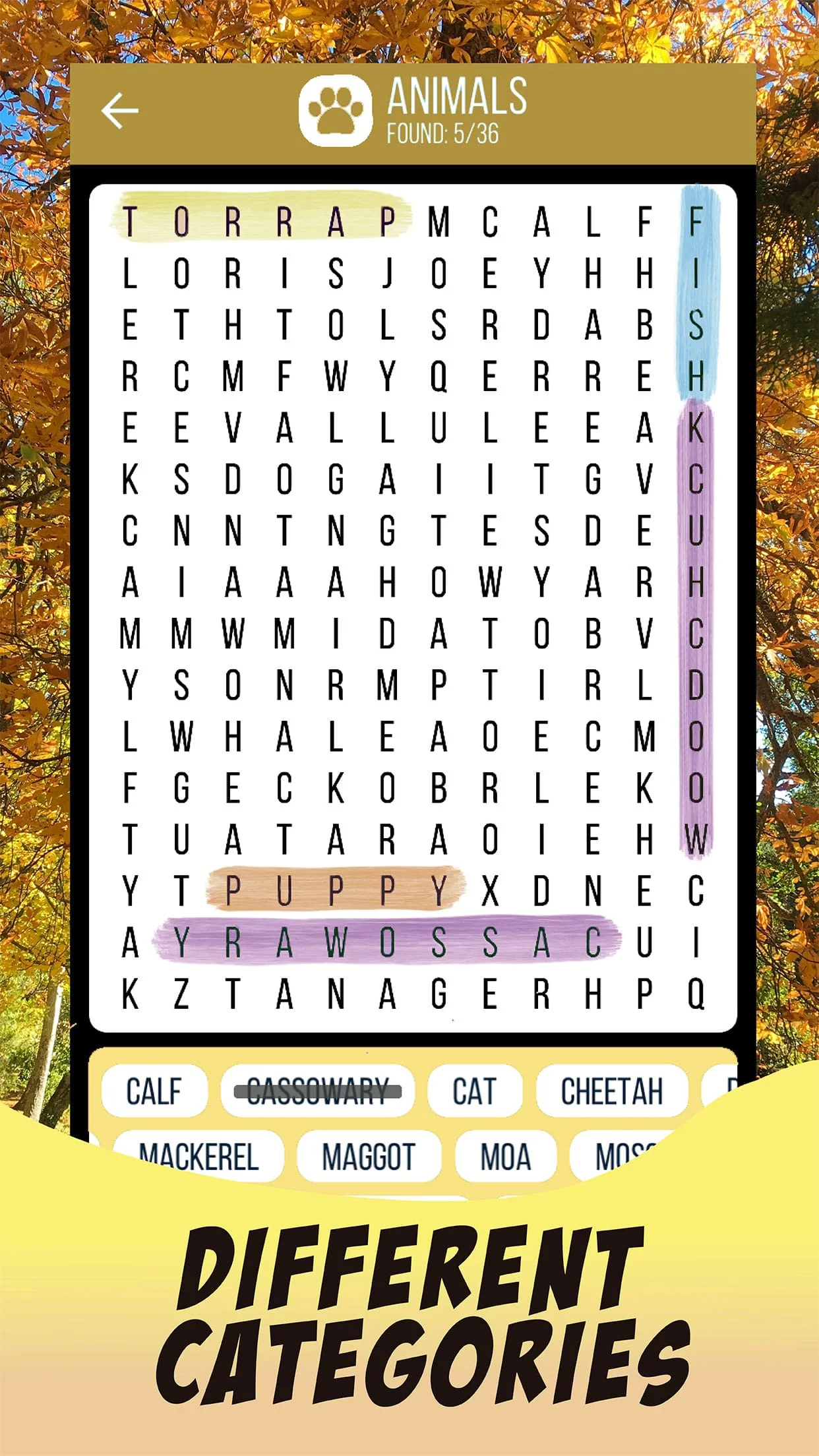 Word Search English Puzzle Screenshot 2