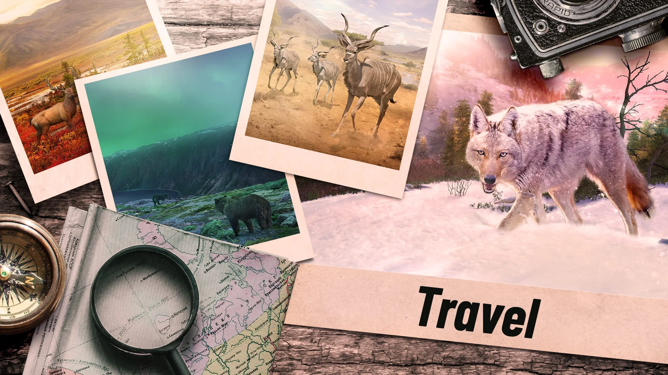 Hunting Clash: Shooting Games Screenshot 4