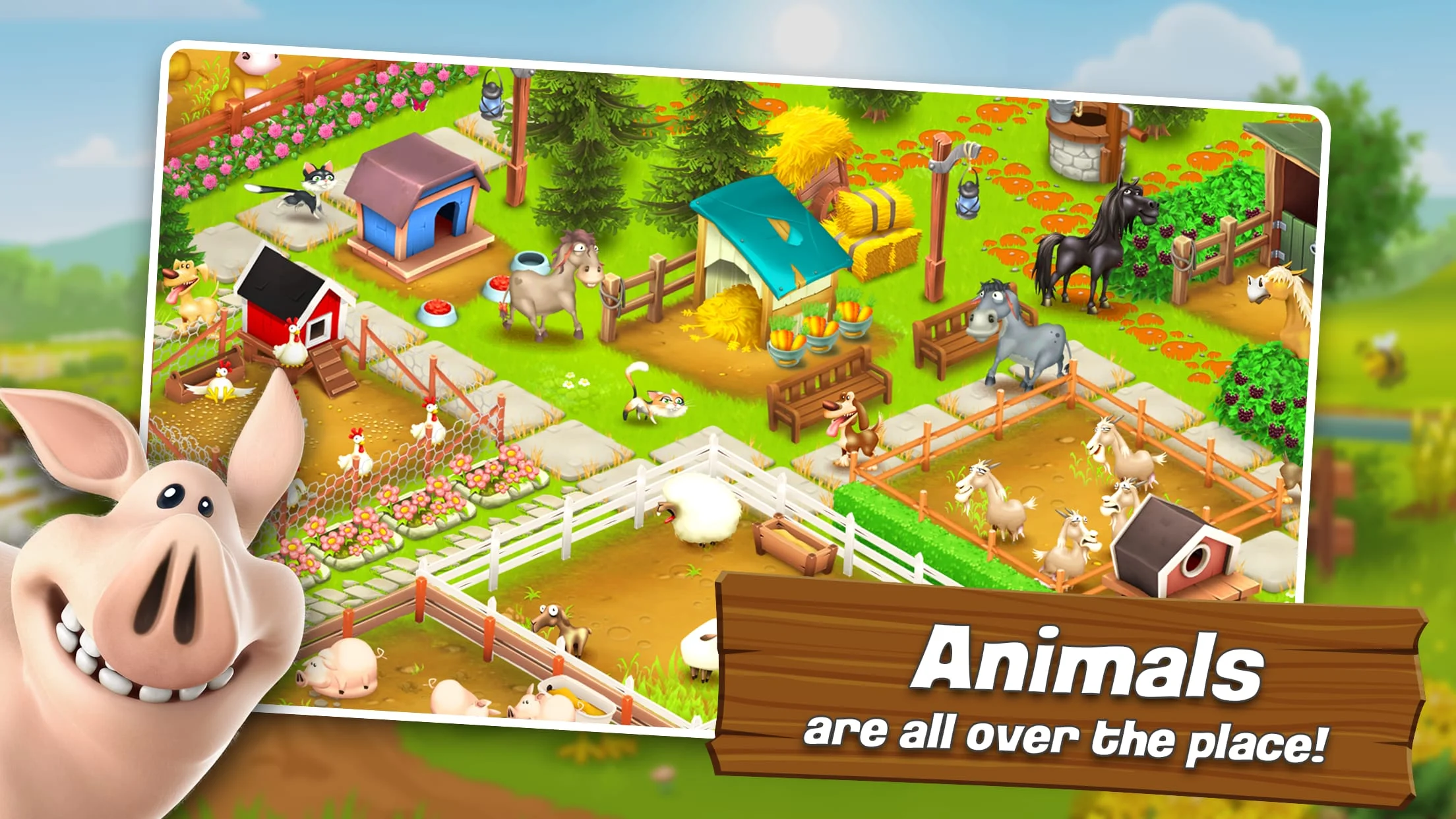 Hay Day Screenshot 3