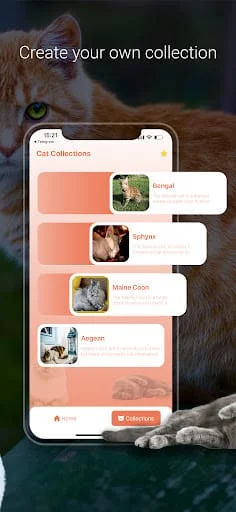 Cat Identifier - Cat Scanner Screenshot 3