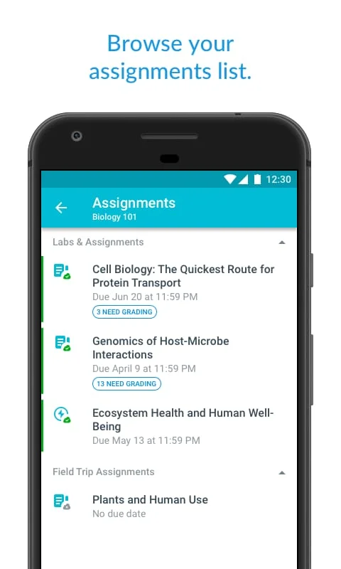 Canvas Teacher Screenshot 2