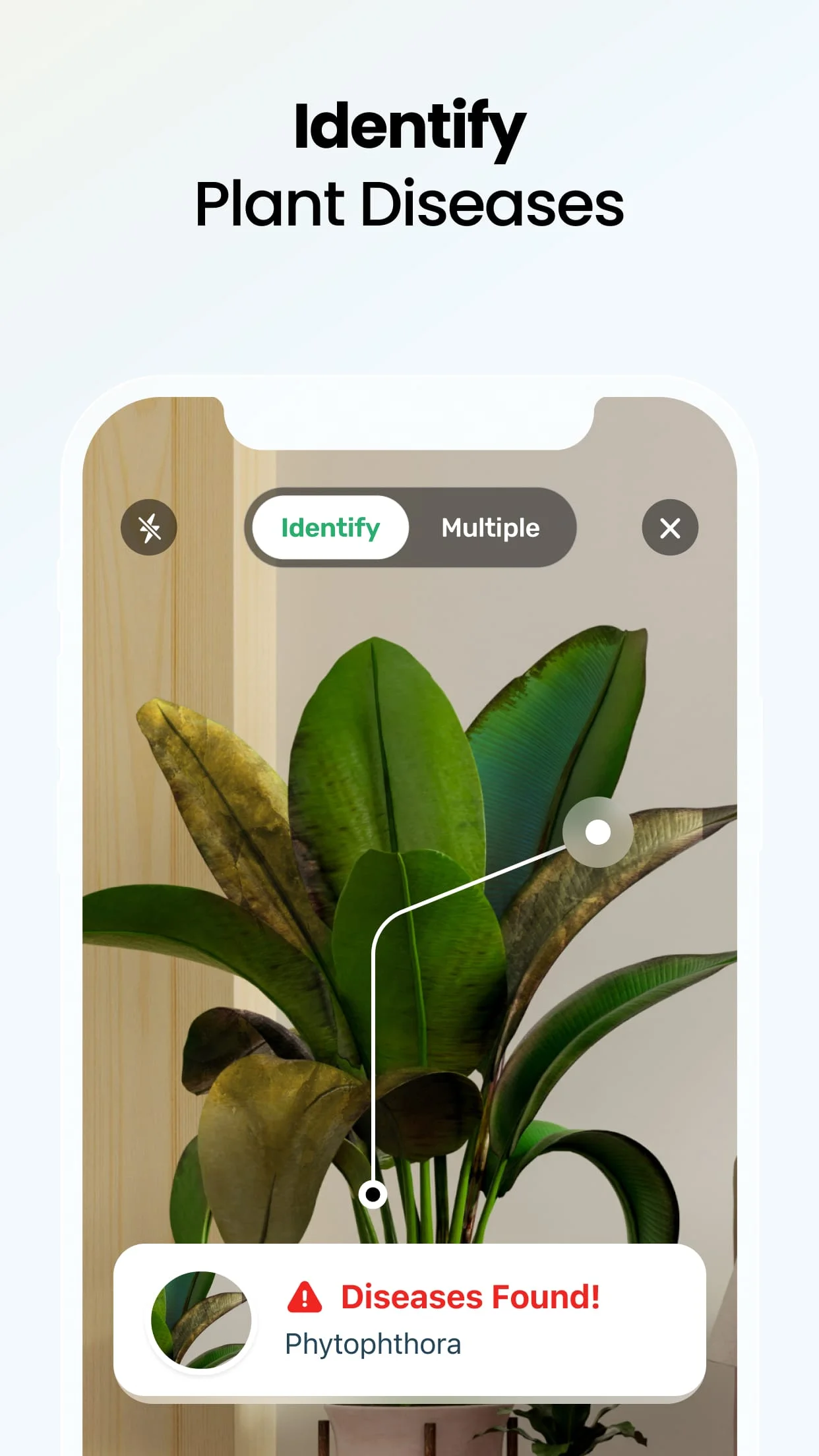 Plant App - Plant Identifier Screenshot 3