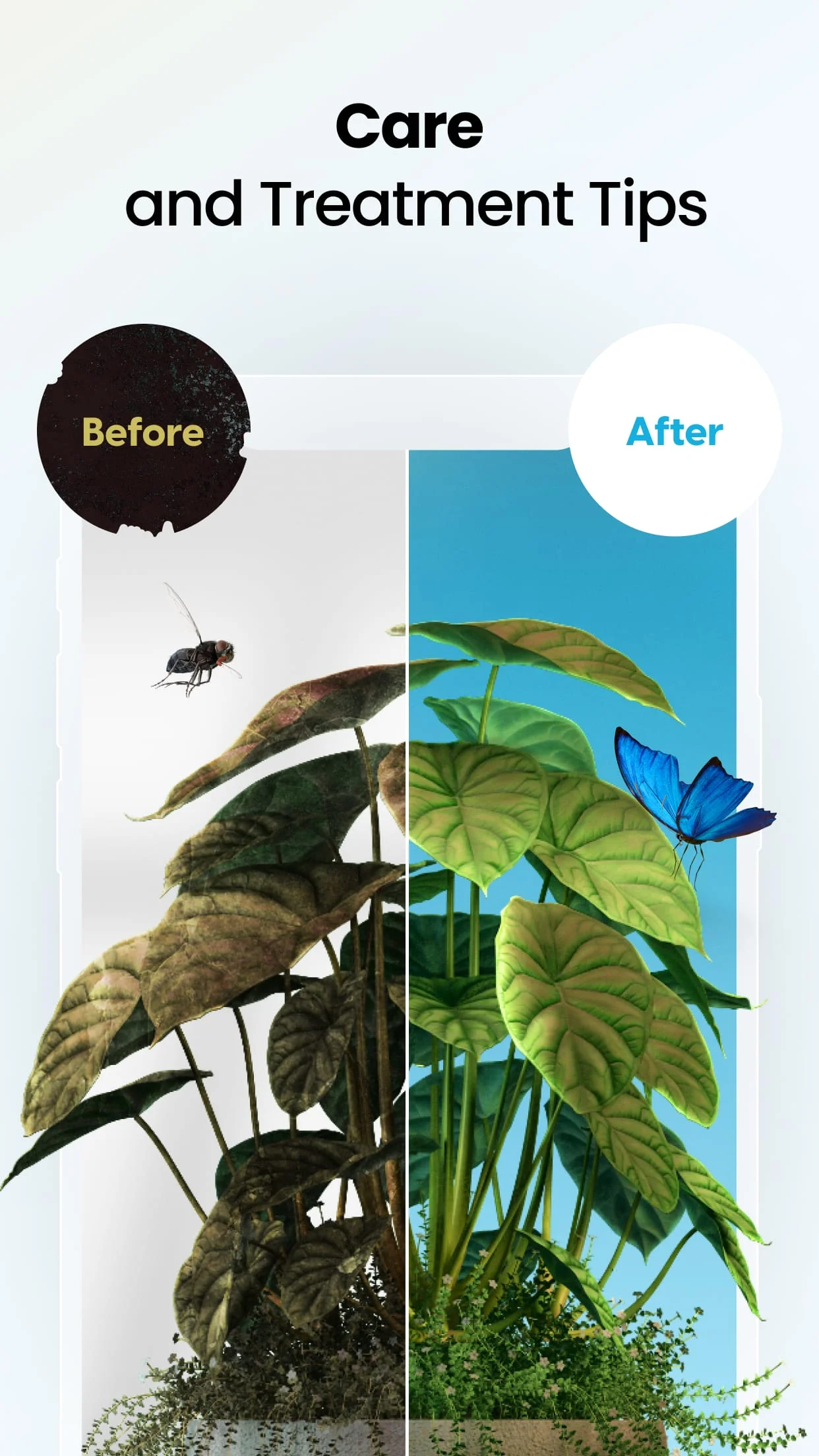 Plant App - Plant Identifier Screenshot 4