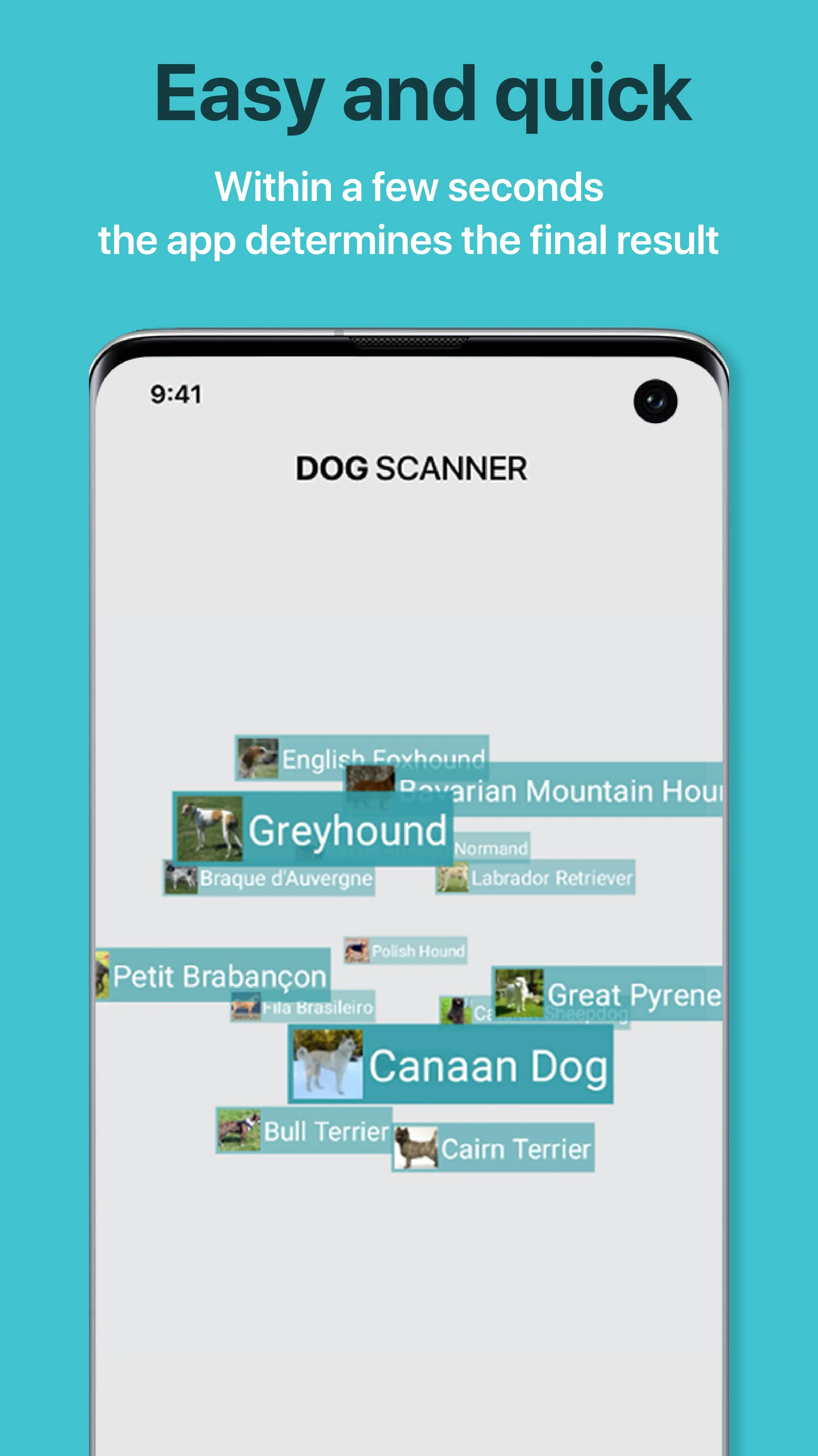 Dog Scanner: Breed Recognition Screenshot 3