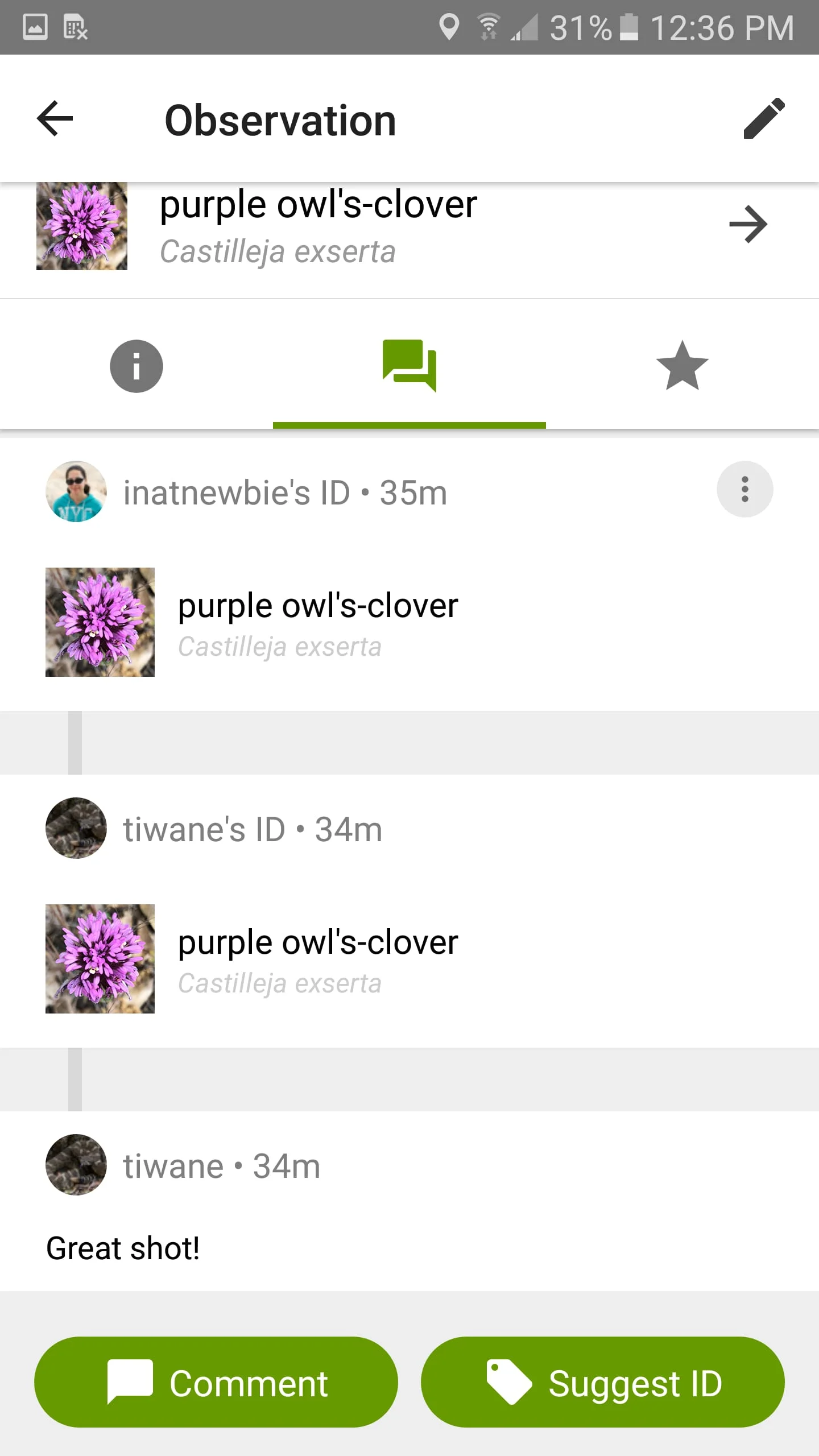 iNaturalist Screenshot 4