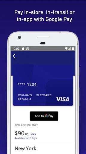 Visa Commercial Pay Screenshot 1