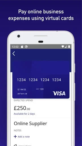 Visa Commercial Pay Screenshot 2