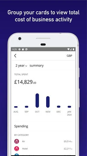 Visa Commercial Pay Screenshot 3