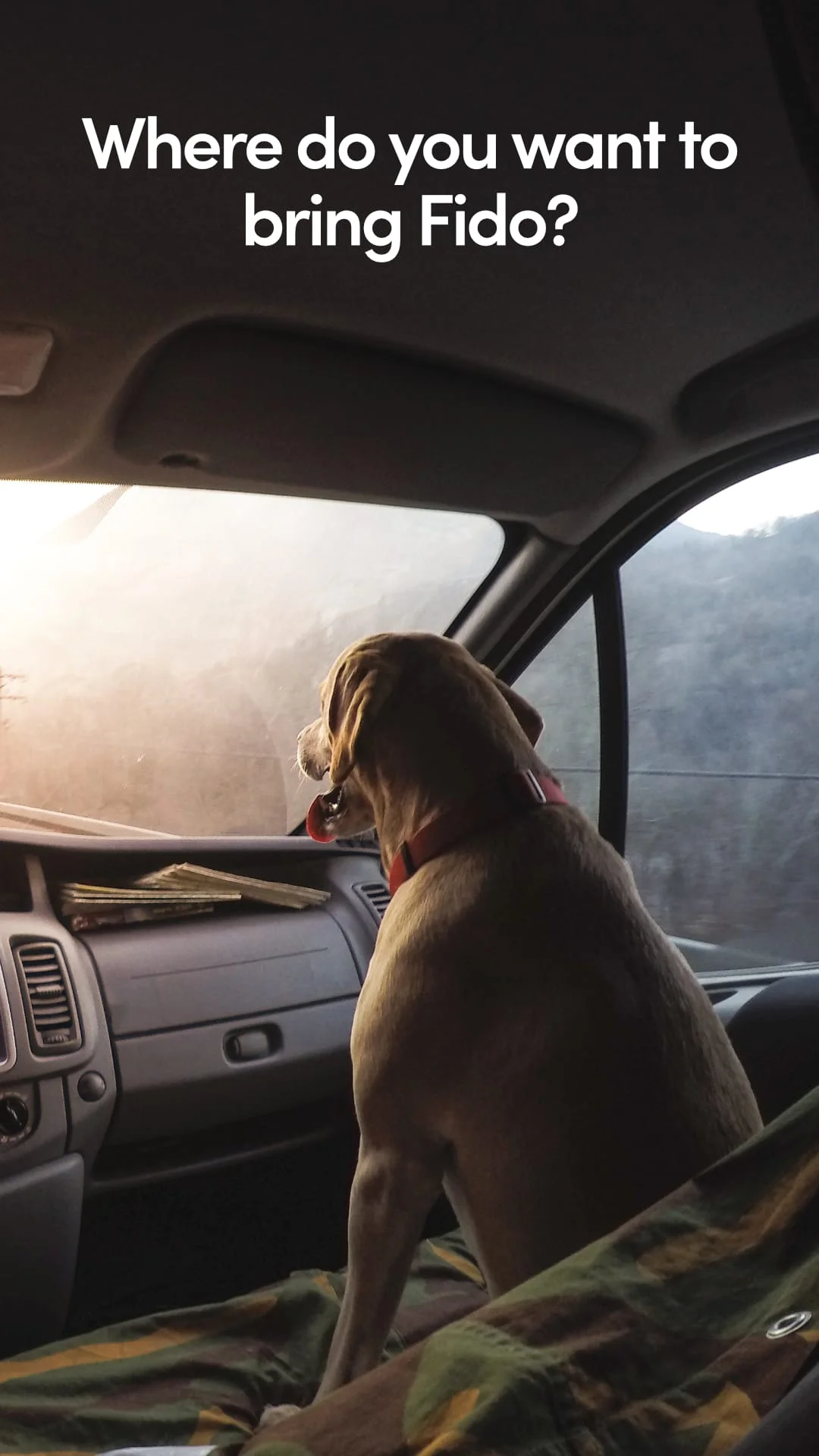 BringFido Pet Friendly Hotels Screenshot 1