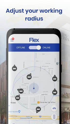 Flex Driver Screenshot 4
