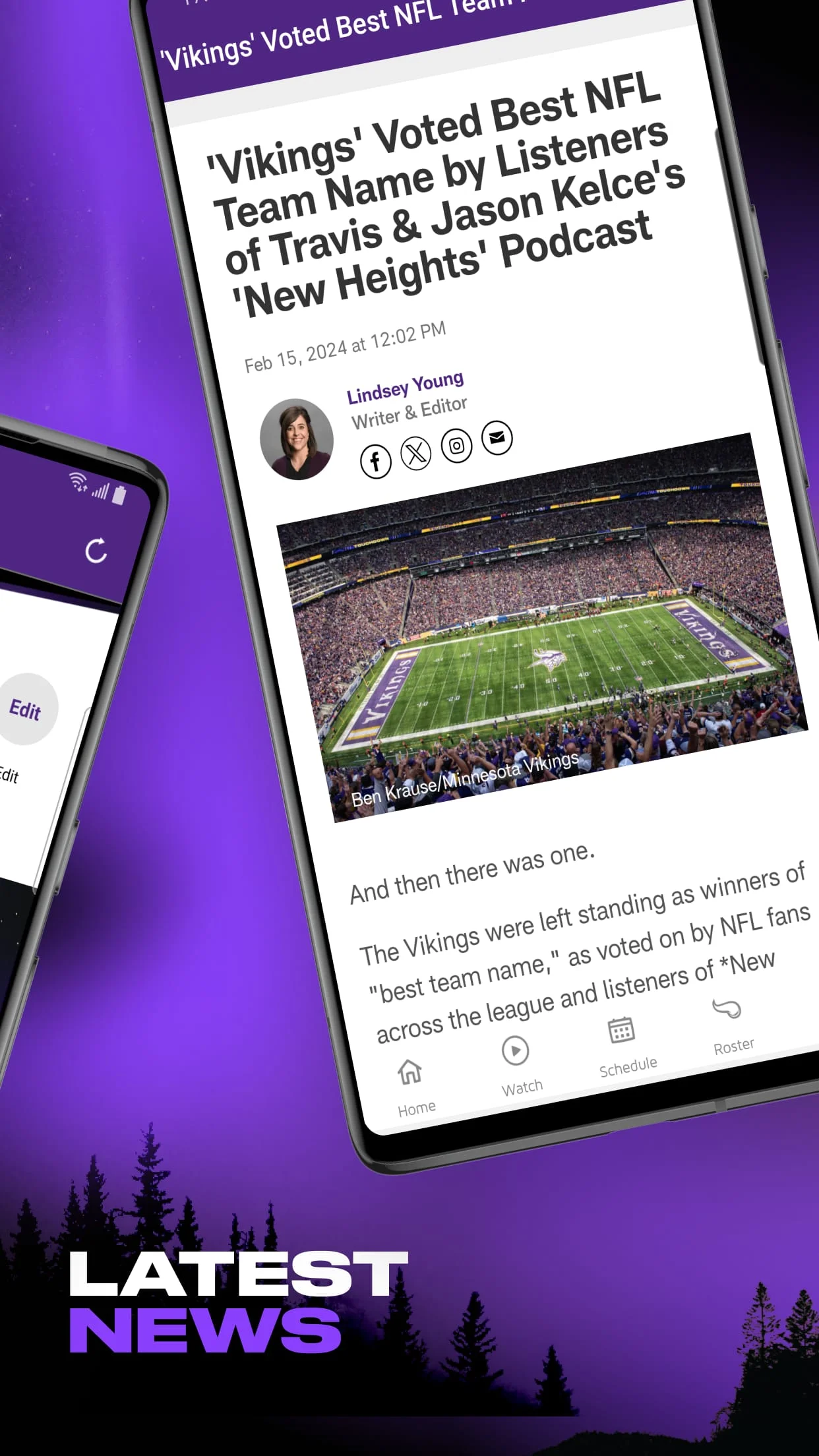 Minnesota Vikings Screenshot 2