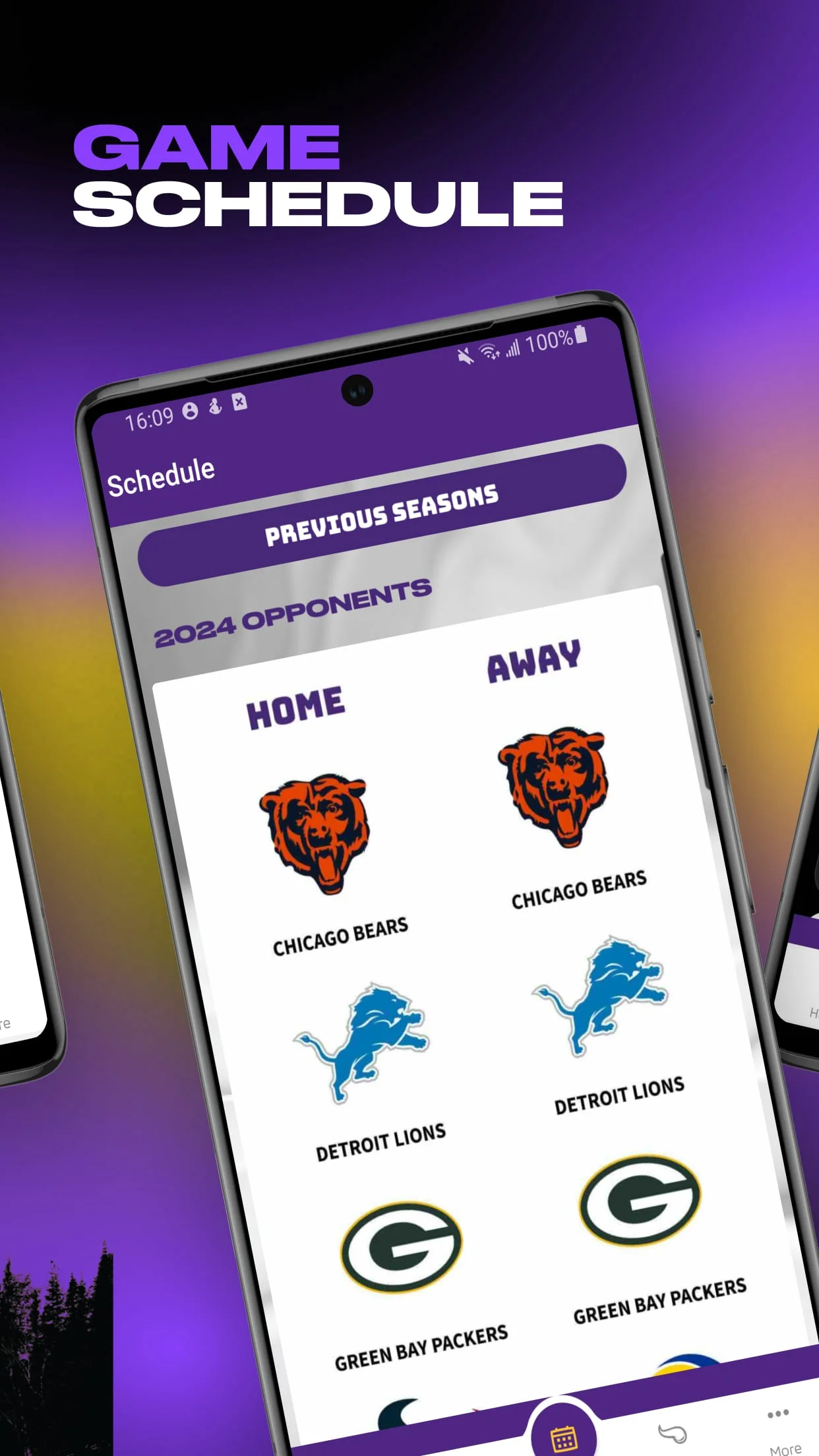 Minnesota Vikings Screenshot 3