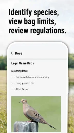 Texas Outdoor Annual Screenshot 4