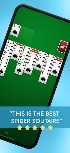 Spider Solitaire Screenshot 1
