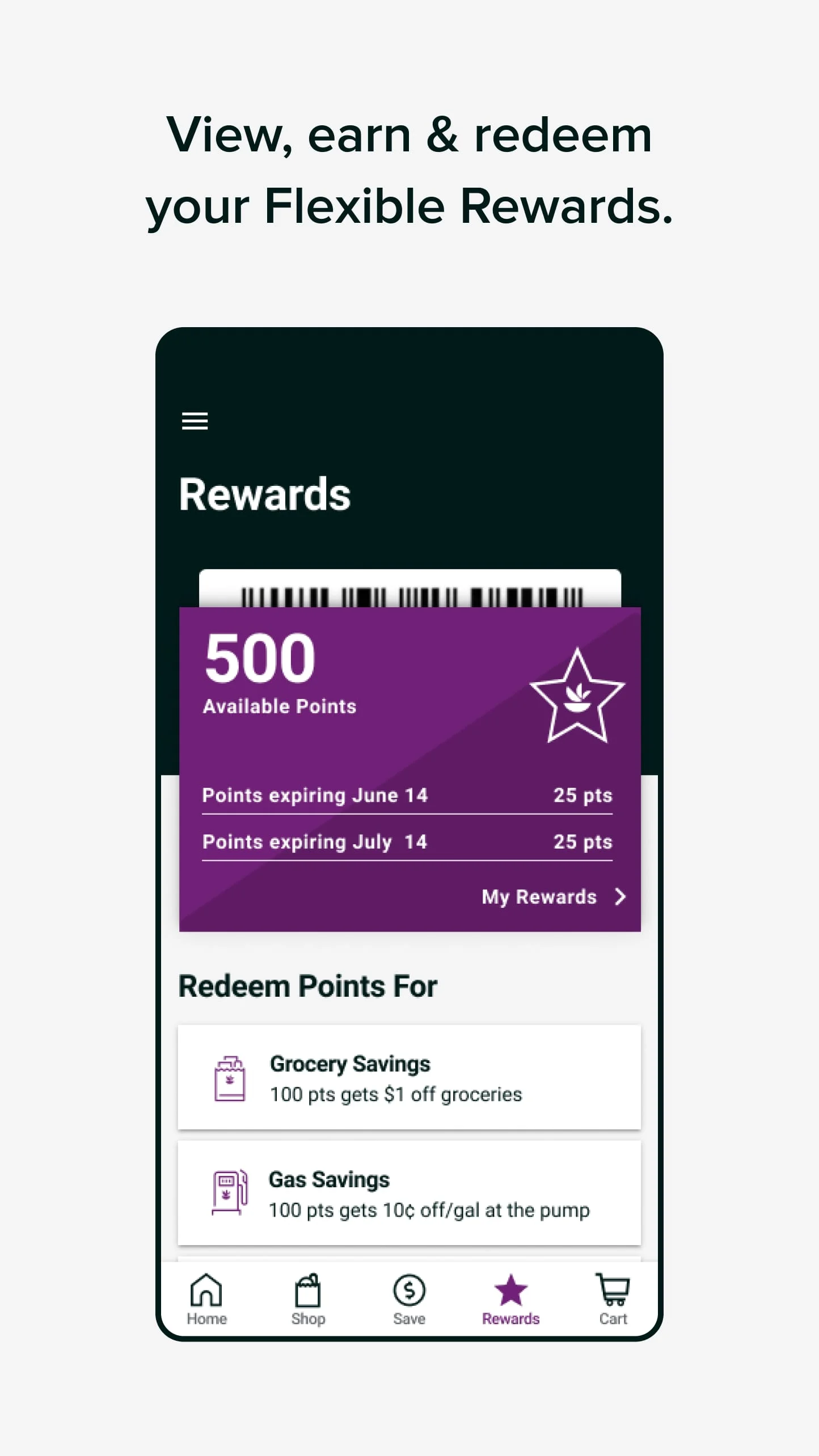 Giant Food Screenshot 4