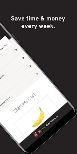 Hannaford Screenshot 2