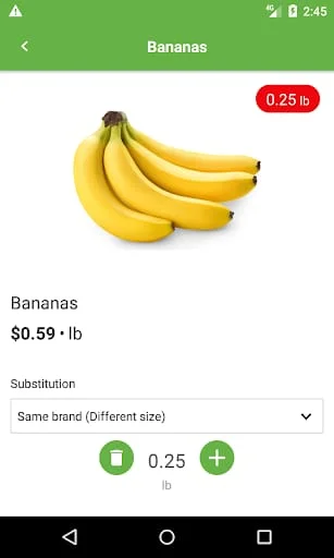 Festival Foods Screenshot 2