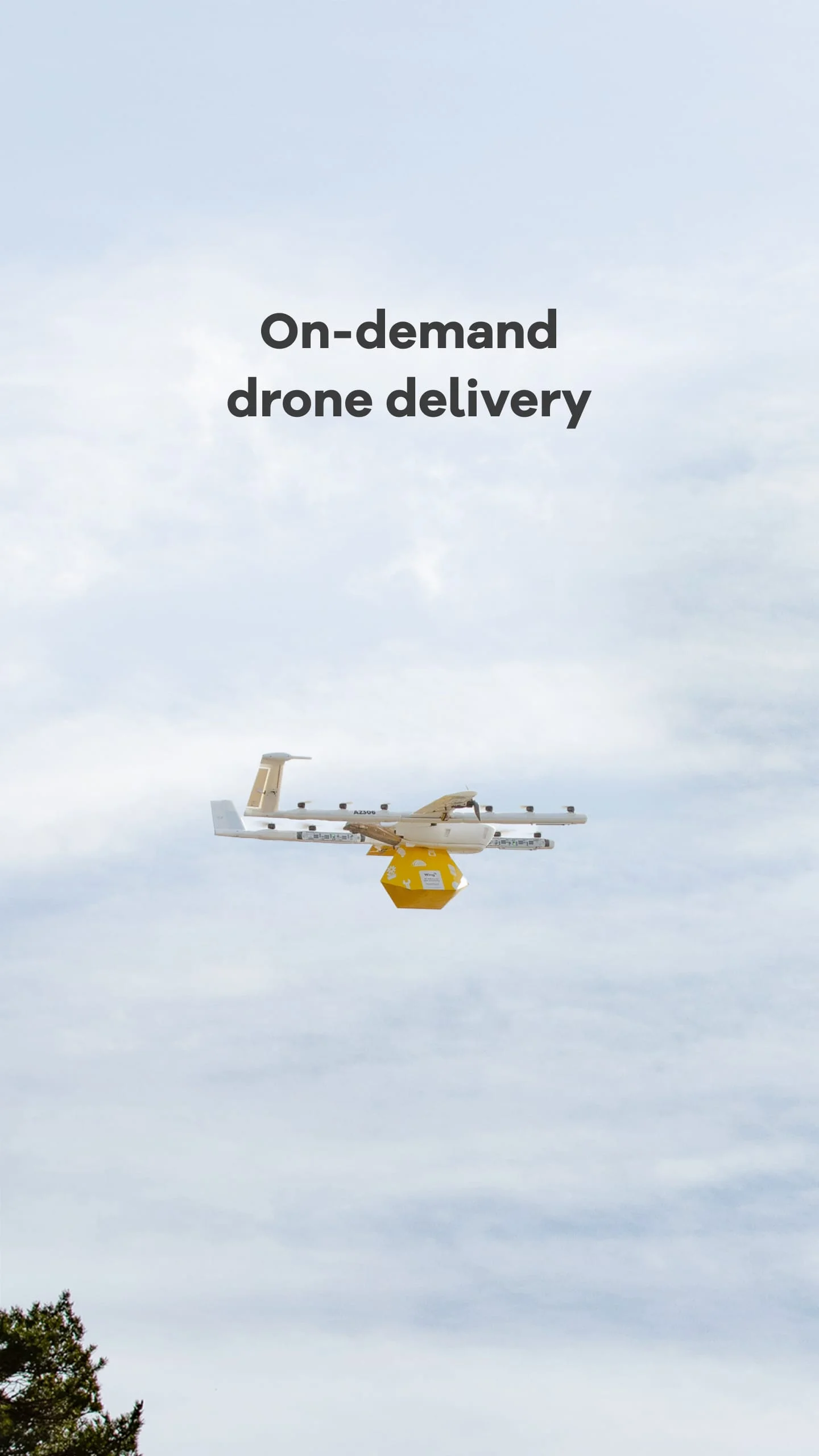 Wing - Drone delivery Screenshot 1