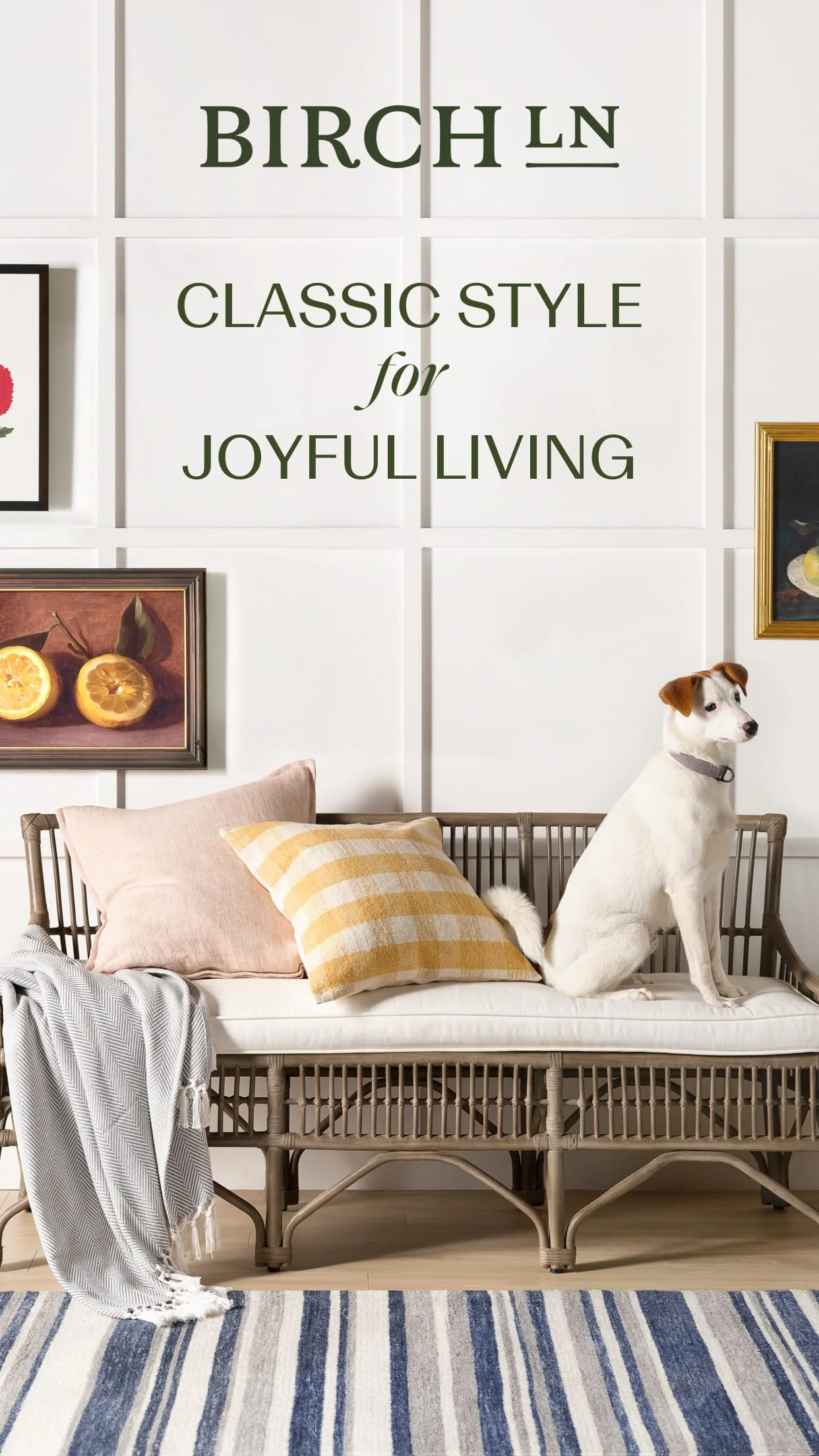 Birch Lane Screenshot 1