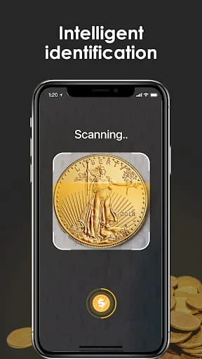 iCoin - Identify Coins Value Screenshot 2
