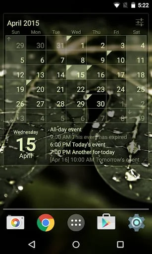 Calendar Widget Month + Agenda Screenshot 3