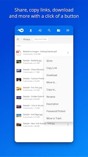 MediaFire Screenshot 3