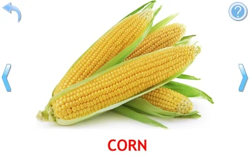 Fruits and Vegetables for Kids Screenshot 4