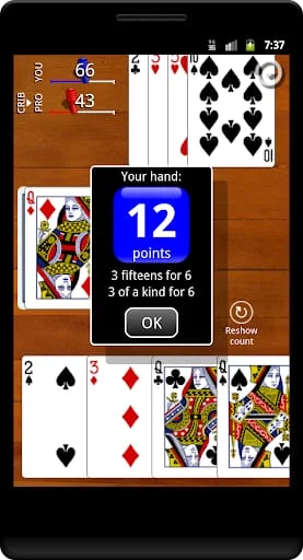 Cribbage Classic Screenshot 3