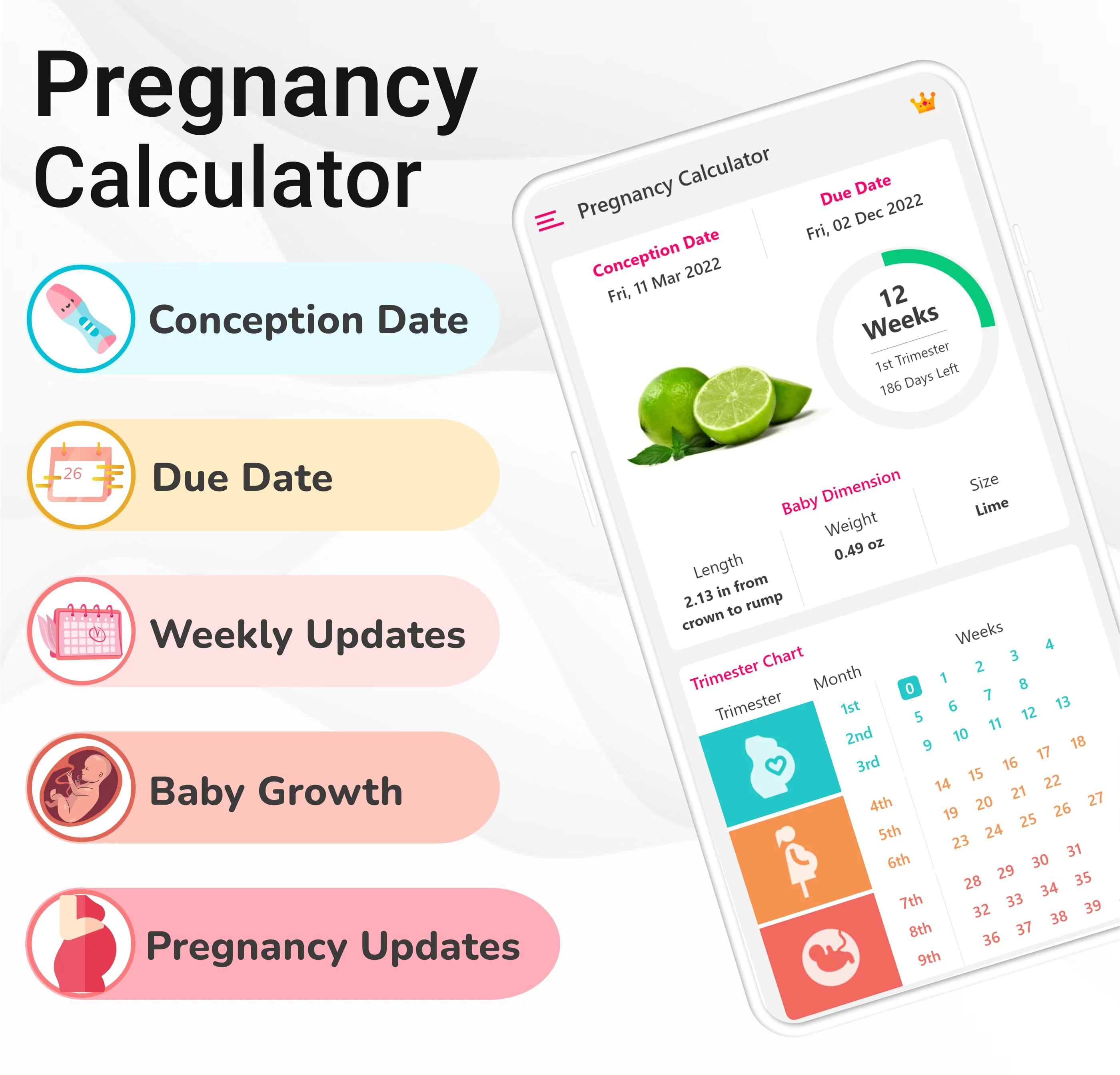 Pregnancy Calculator: Due Date Screenshot 1